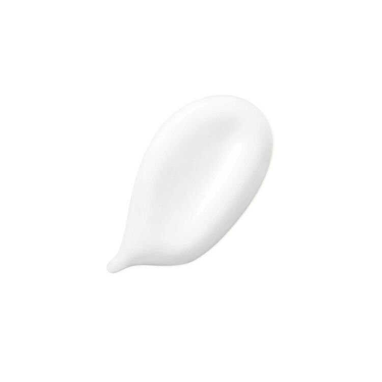 Fondant Fluidéaliste