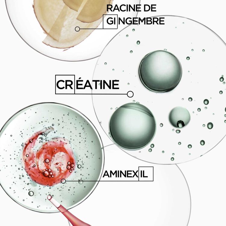 Bain de Force Quotidien