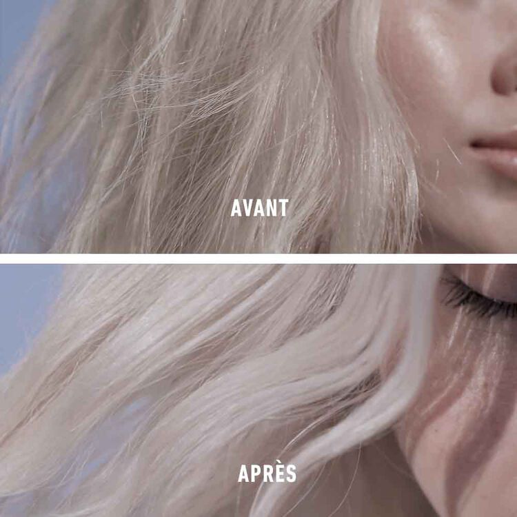 Trio Blond Polaire